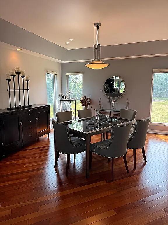 06N274 W Ridgewood Ln, Saint Charles, IL 60175 - dining space with dark wood-style floors and healthy amount of natural light