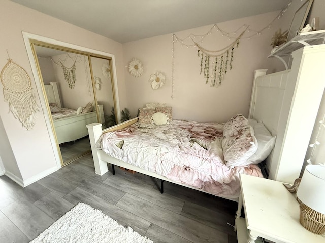 605 N Wolf Rd Unit B9, Hillside, IL 60162 - bedroom featuring a closet and wood finished floors