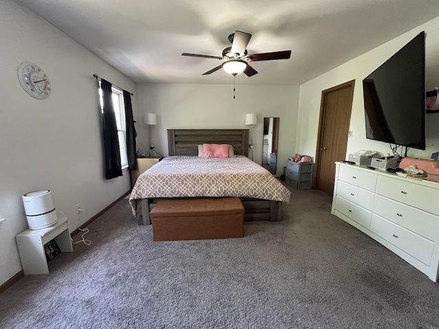 14143 S Napa Cir, Plainfield, IL 60544 - bedroom featuring carpet floors and ceiling fan