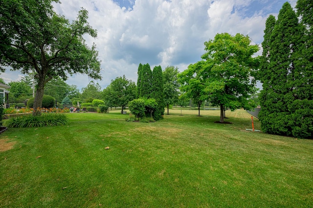 10732 Revere Rd, Mokena, IL 60448 - view of grassy yard