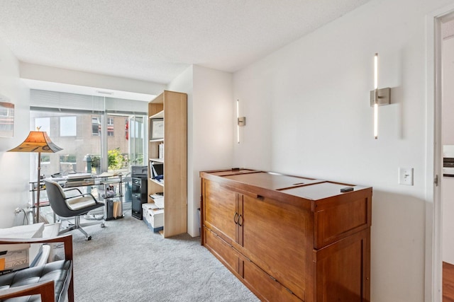 800 Elgin Rd Unit 1017, Evanston, IL 60201 - home office featuring carpet and a textured ceiling