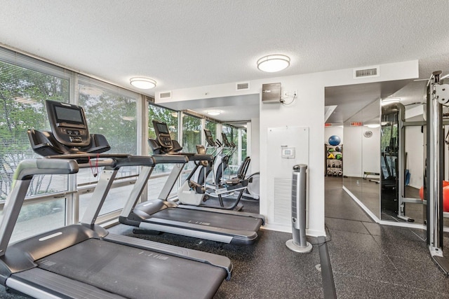 800 Elgin Rd Unit 1017, Evanston, IL 60201 - gym with a textured ceiling and a wall of windows