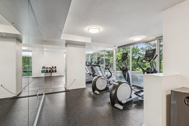 800 Elgin Rd Unit 1017, Evanston, IL 60201 - workout area with healthy amount of natural light, expansive windows, and a textured ceiling