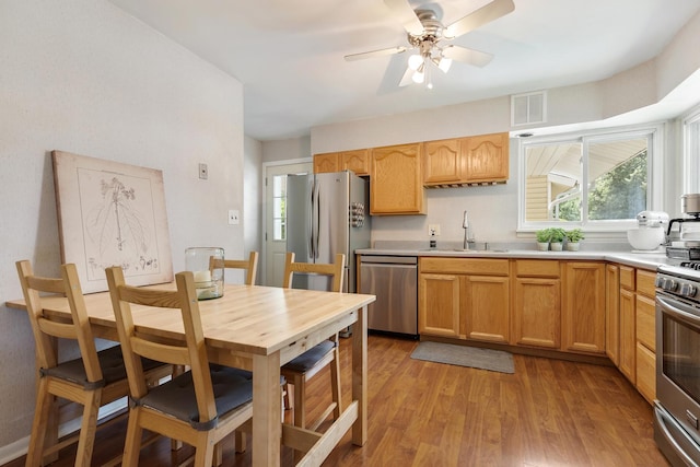 817 N Gibbons Ave, Arlington Heights, IL 60004 - kitchen with appliances with stainless steel finishes, light countertops, light wood-style flooring, and ceiling fan