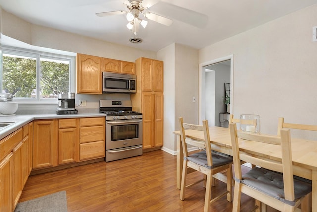 817 N Gibbons Ave, Arlington Heights, IL 60004 - kitchen with stainless steel appliances, light wood-style flooring, light countertops, and ceiling fan