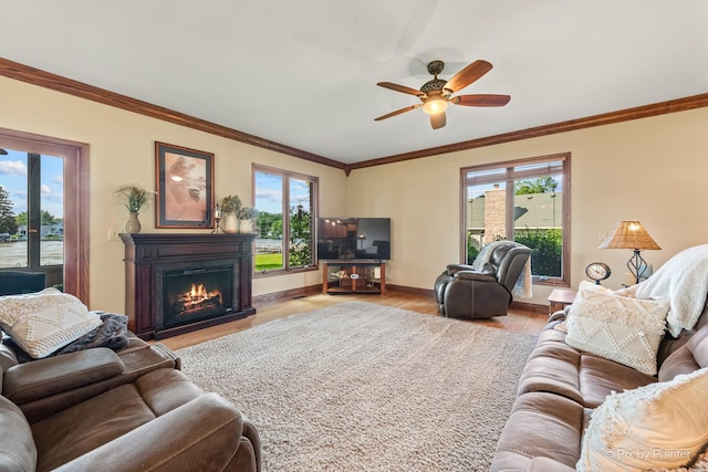 1913 N Woodlawn Park Ave, Mchenry, IL 60051 - living area with wood finished floors, a lit fireplace, a ceiling fan, and ornamental molding