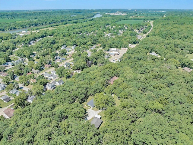 555/557 W Bluff St, Marseilles, IL 61341 - aerial overview of property's location with a forest