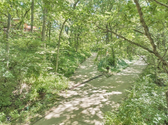 555/557 W Bluff St, Marseilles, IL 61341 - view of woods