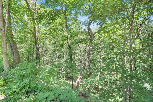 555/557 W Bluff St, Marseilles, IL 61341 - view of wooded area
