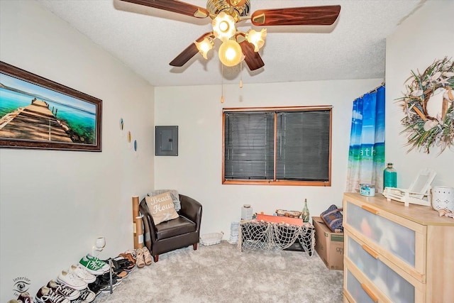555/557 W Bluff St, Marseilles, IL 61341 - sitting room with carpet, ceiling fan, and electric panel