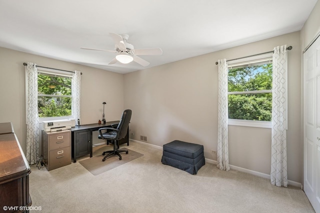 1355 W Kenilworth Ave, Palatine, IL 60067 - office with light colored carpet and a ceiling fan