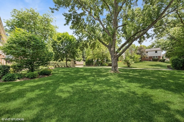 1355 W Kenilworth Ave, Palatine, IL 60067 - view of grassy yard