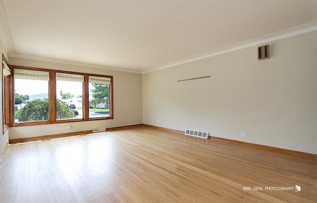 10432 Laramie Ave, Oak Lawn, IL 60453 - photo 4