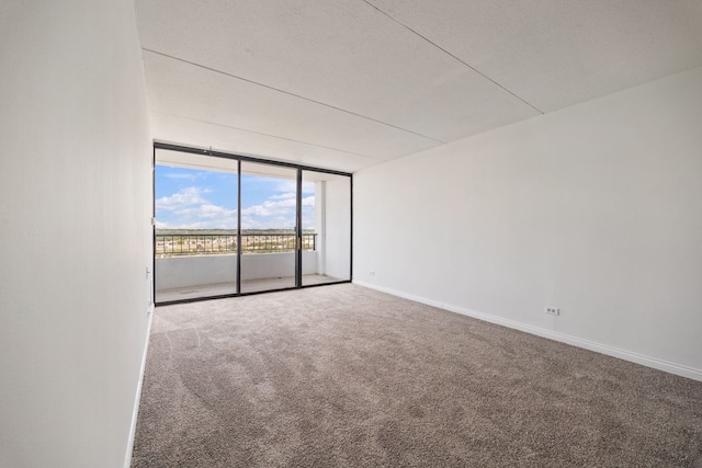 2005 S Finley Rd Unit 1204, Lombard, IL 60148 - carpeted empty room featuring a wall of windows and baseboards