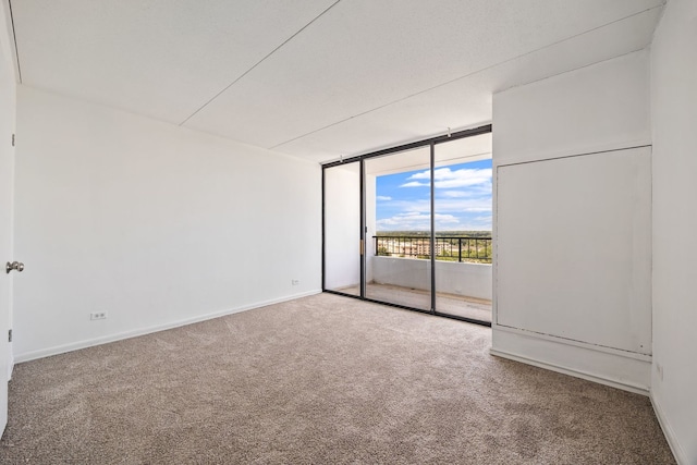 2005 S Finley Rd Unit 1204, Lombard, IL 60148 - carpeted spare room with floor to ceiling windows and baseboards