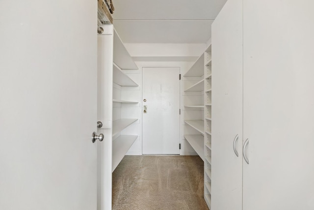 2005 S Finley Rd Unit 1204, Lombard, IL 60148 - walk in closet featuring carpet