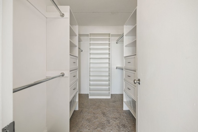 2005 S Finley Rd Unit 1204, Lombard, IL 60148 - walk in closet with dark carpet