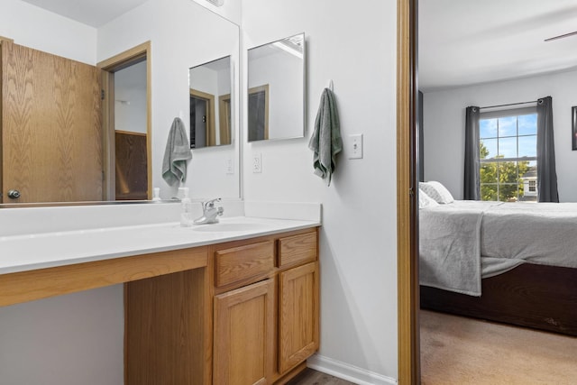 21549 Fulton Ct, Plainfield, IL 60544 - ensuite bathroom with vanity