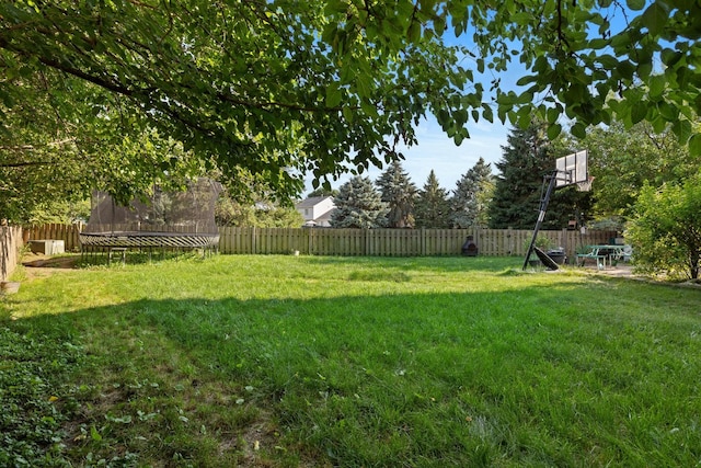 21549 Fulton Ct, Plainfield, IL 60544 - fenced backyard featuring a trampoline