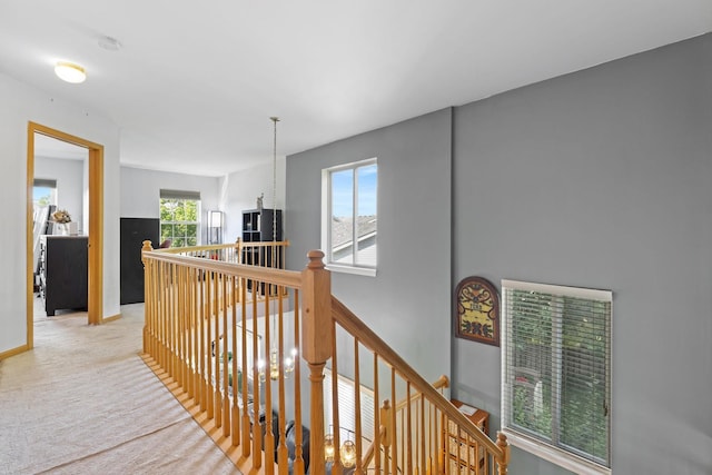 21549 Fulton Ct, Plainfield, IL 60544 - hall featuring an upstairs landing and carpet floors