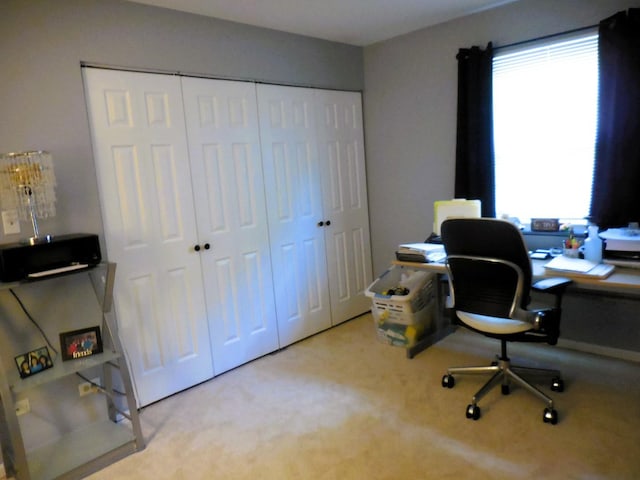 1934 Manor Ln, Mundelein, IL 60060 - photo 47