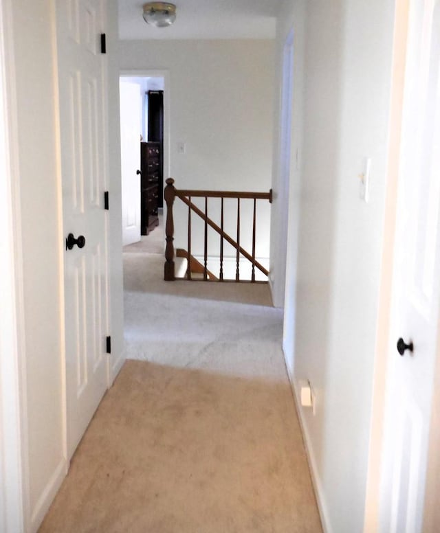 1934 Manor Ln, Mundelein, IL 60060 - photo 49