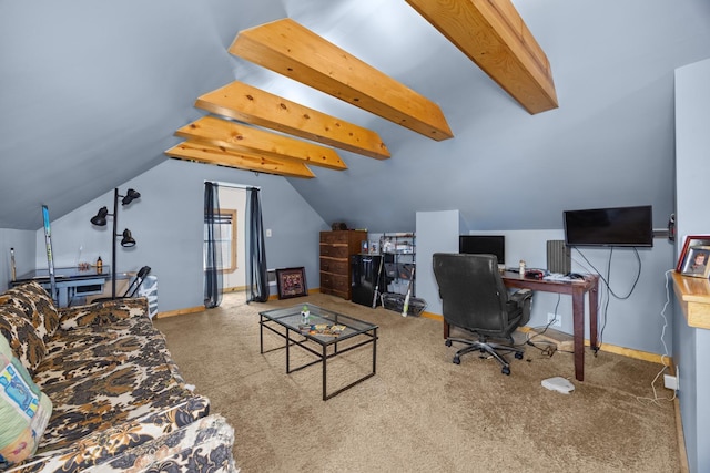 105 S May St, Joliet, IL 60436 - photo 20