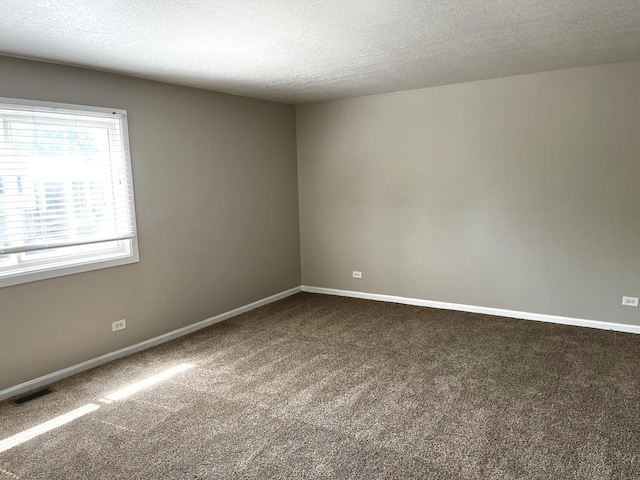 42 Pheasant Rd, Matteson, IL 60443 - unfurnished room featuring carpet and a textured ceiling