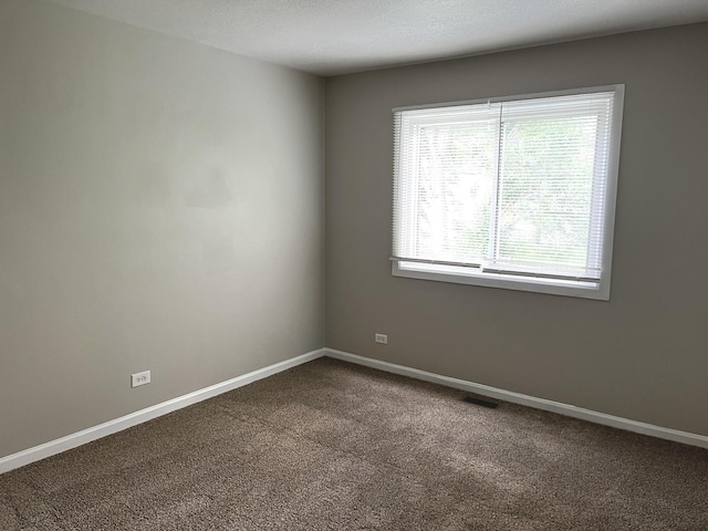 42 Pheasant Rd, Matteson, IL 60443 - empty room with carpet floors and baseboards
