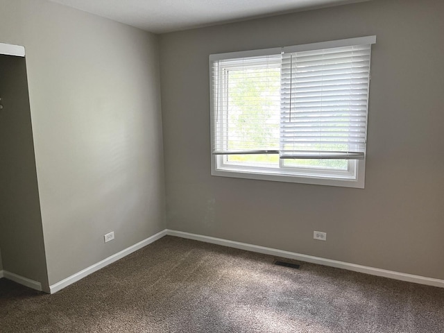 42 Pheasant Rd, Matteson, IL 60443 - empty room featuring carpet floors and baseboards