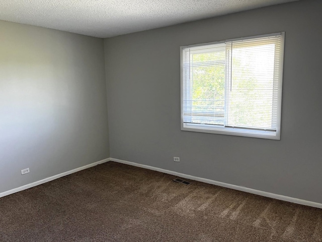 22526 Clarendon Ave, Richton Park, IL 60471 - unfurnished room with healthy amount of natural light, dark colored carpet, and a textured ceiling