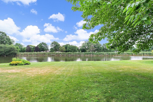 1521 Pendelton Ct, Palatine, IL 60067 - view of green lawn with a water view