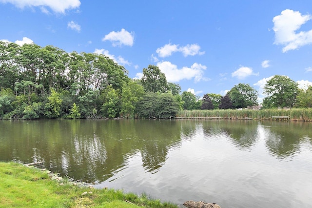 1521 Pendelton Ct, Palatine, IL 60067 - water view