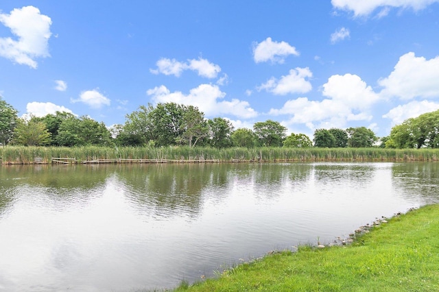1521 Pendelton Ct, Palatine, IL 60067 - water view