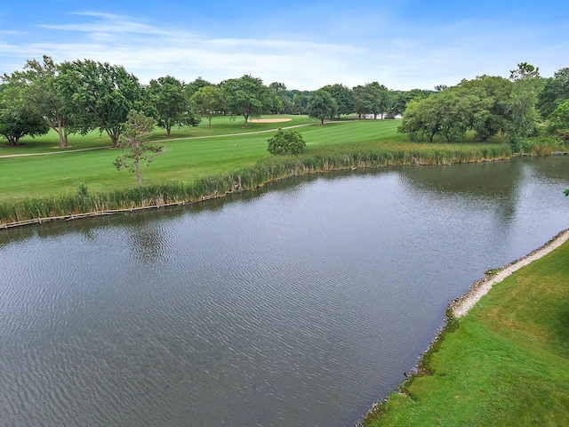 1521 Pendelton Ct, Palatine, IL 60067 - water view with a tree filled landscape