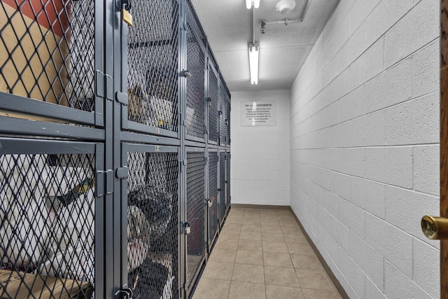 814 N River Rd Unit 1D, Mount Prospect, IL 60056 - view of storage