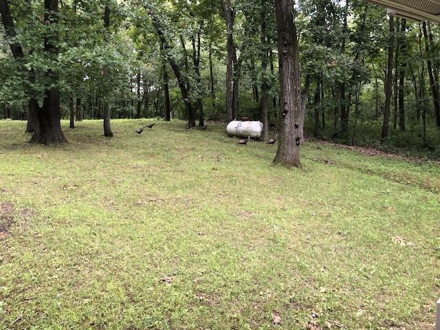 7 Cedar Ln S, Putnam, IL 61560 - photo 32
