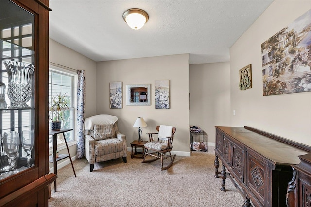 204 Campbell St, Tolono, IL 61880 - living area featuring carpet and baseboards