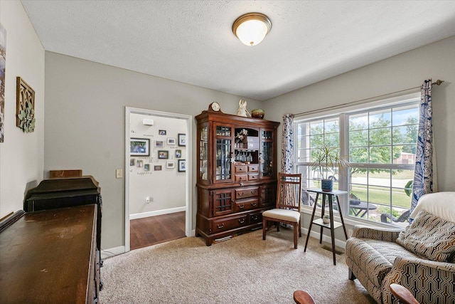 204 Campbell St, Tolono, IL 61880 - sitting room featuring carpet floors and baseboards
