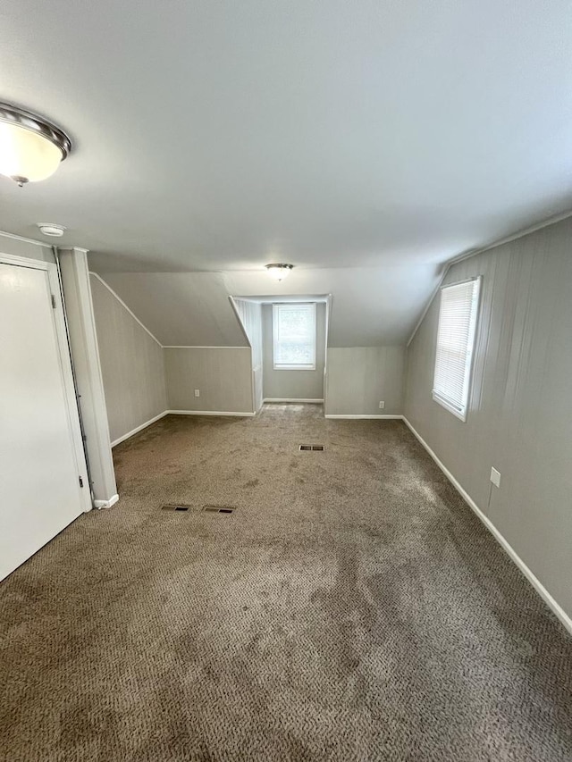 21142 Locust St, Matteson, IL 60443 - additional living space with lofted ceiling and carpet floors