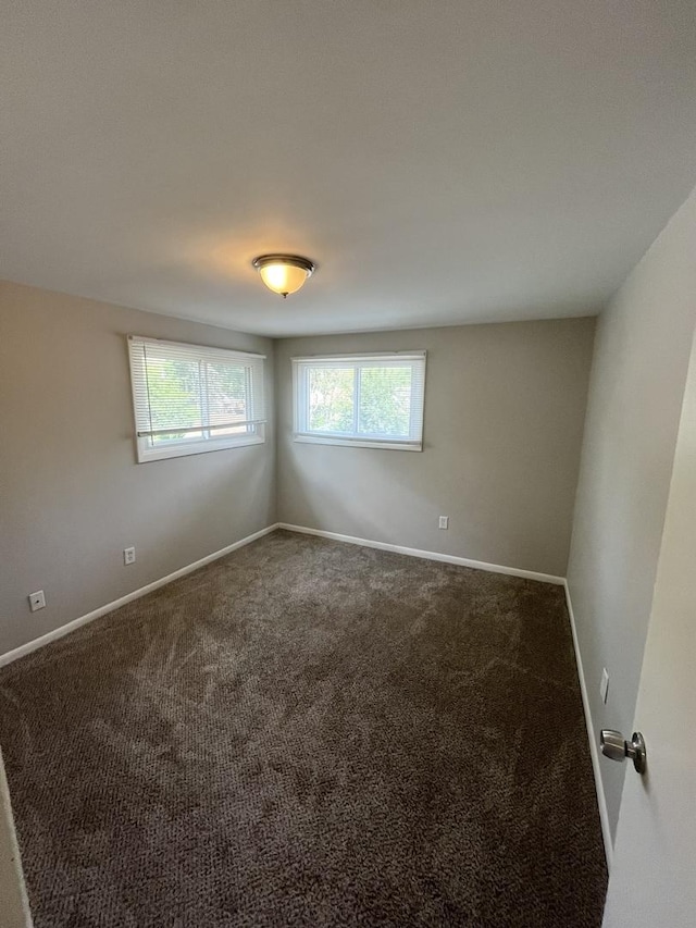 21142 Locust St, Matteson, IL 60443 - unfurnished room with carpet floors