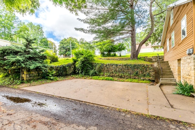 244 S Division St, Galena, IL 61036 - view of yard with stairs