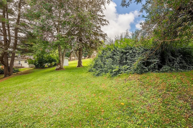 244 S Division St, Galena, IL 61036 - view of grassy yard