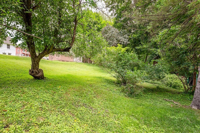 244 S Division St, Galena, IL 61036 - view of grassy yard