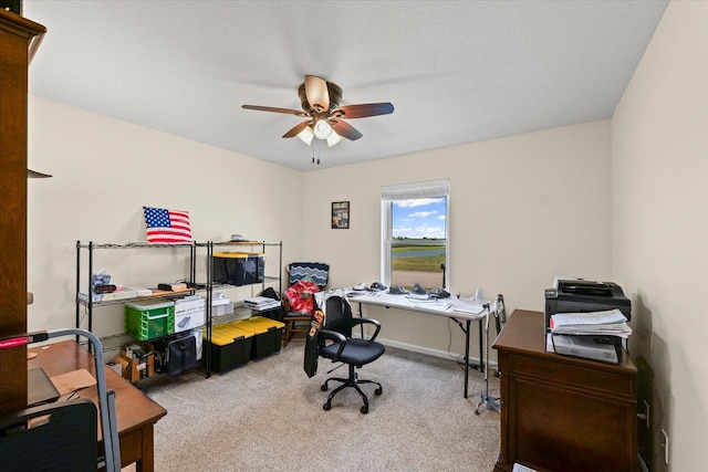 209A Evergreen St, Gifford, IL 61847 - office area with carpet and ceiling fan