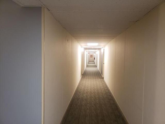 110 W Butterfield Rd Unit 405S, Elmhurst, IL 60126 - hall featuring a decorative wall and dark wood-style flooring