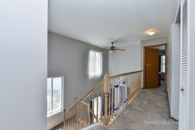 22200 W Norwich Ct, Plainfield, IL 60544 - photo 13
