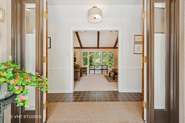 20830 W Exeter Rd, Kildeer, IL 60047 - hallway featuring dark carpet and dark tile patterned flooring