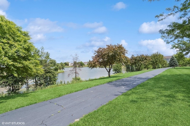 6214 Brunswick Dr, Plainfield, IL 60586 - photo 20