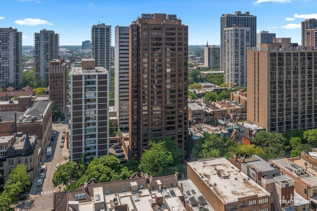 1410 N State Pkwy Unit 5B, Chicago, IL 60610 - view of city